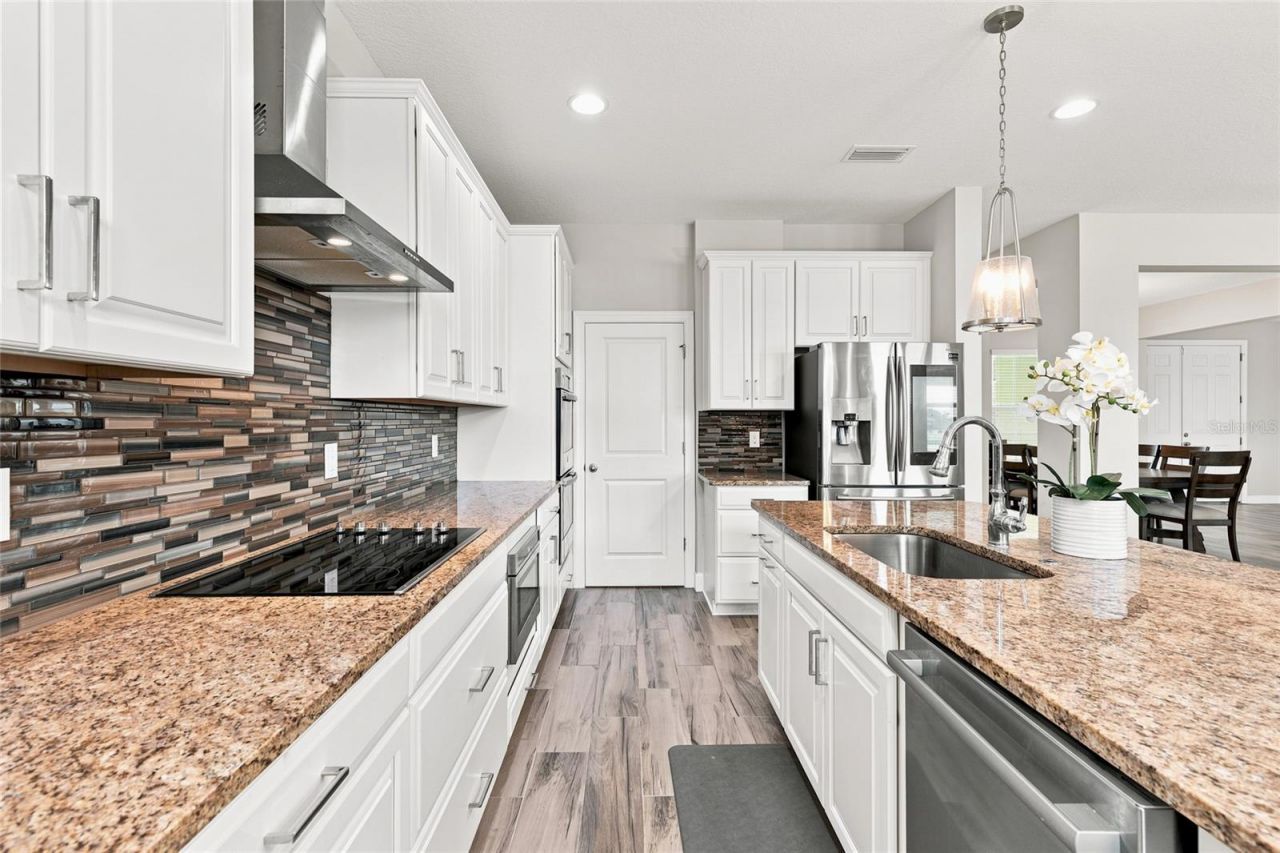 7697 Roma Dune Drive, Wesley Chapel, FL 33545 Photo