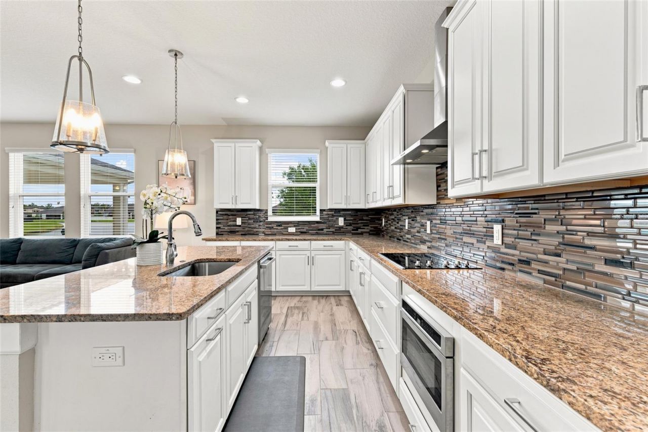 7697 Roma Dune Drive, Wesley Chapel, FL 33545 Photo