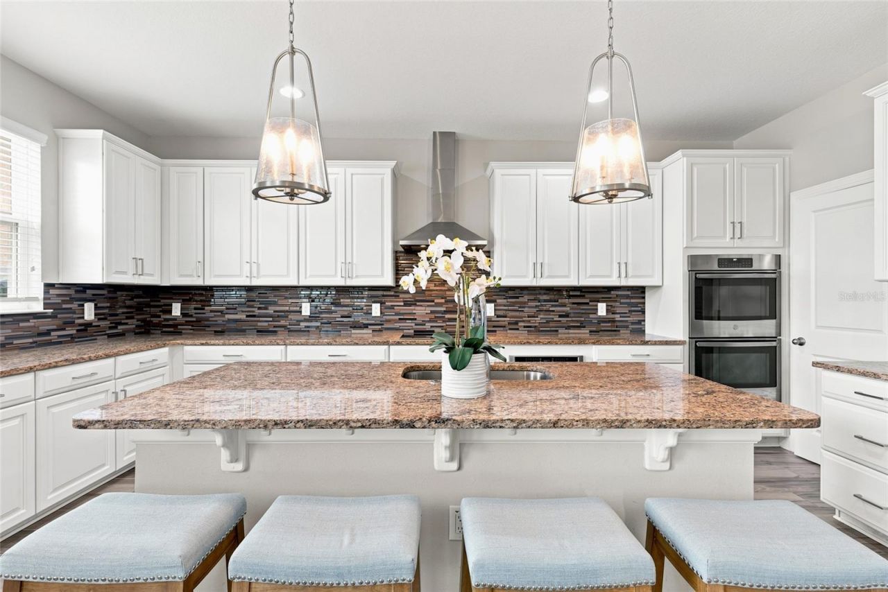 7697 Roma Dune Drive, Wesley Chapel, FL 33545 Photo
