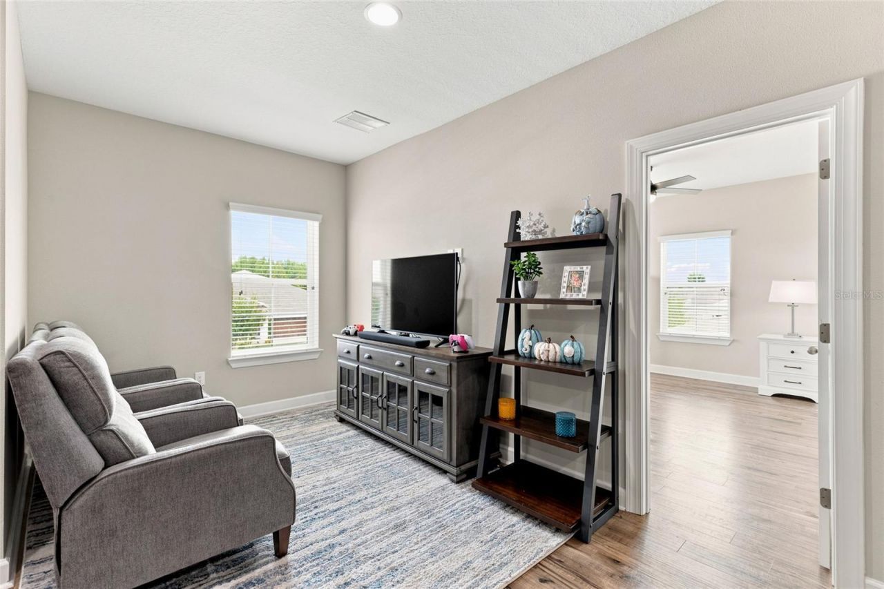 7697 Roma Dune Drive, Wesley Chapel, FL 33545 Photo
