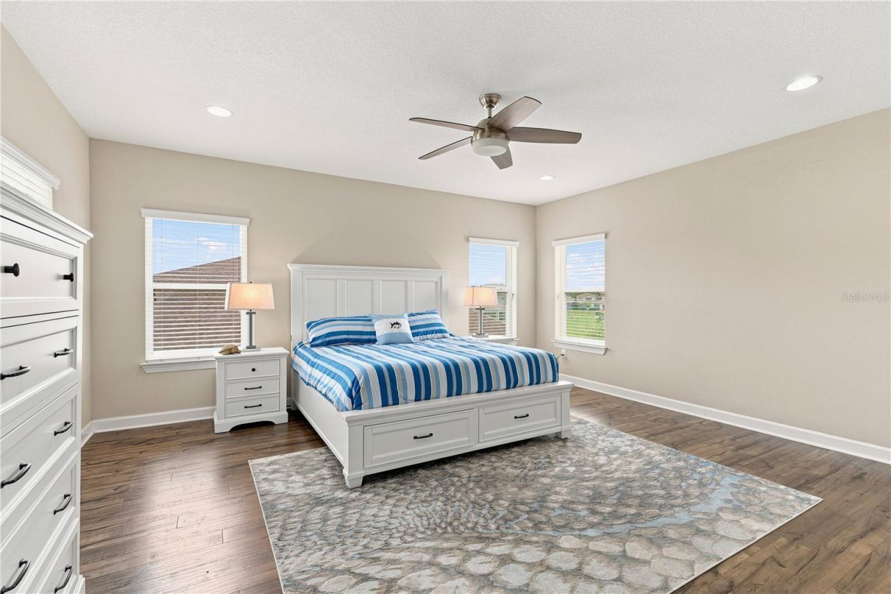 7697 Roma Dune Drive, Wesley Chapel, FL 33545 Photo