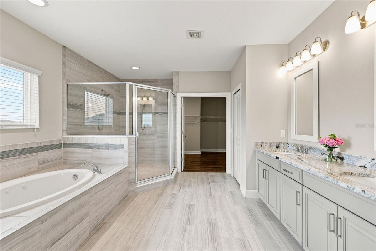 7697 Roma Dune Drive, Wesley Chapel, FL 33545 Photo