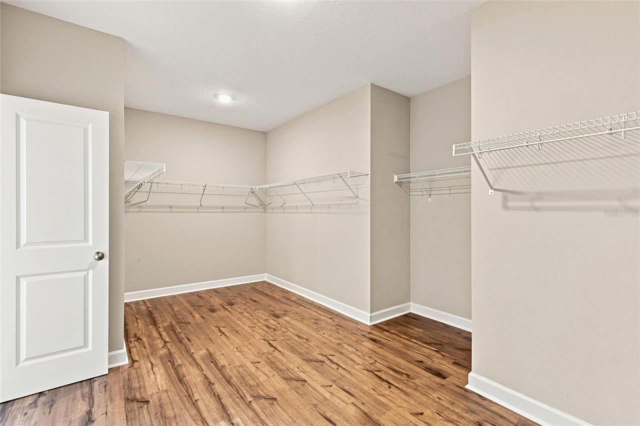 7697 Roma Dune Drive, Wesley Chapel, FL 33545 Photo