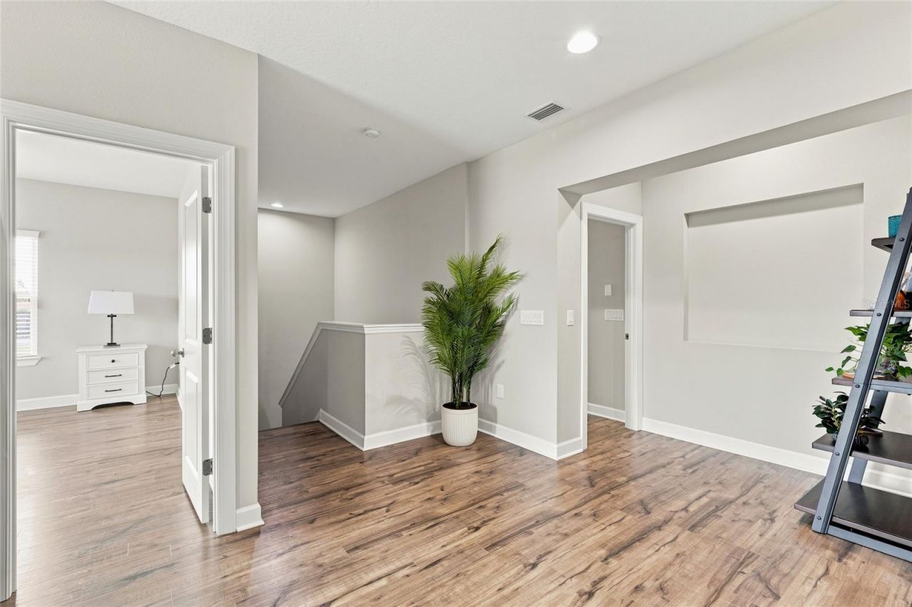 7697 Roma Dune Drive, Wesley Chapel, FL 33545 Photo