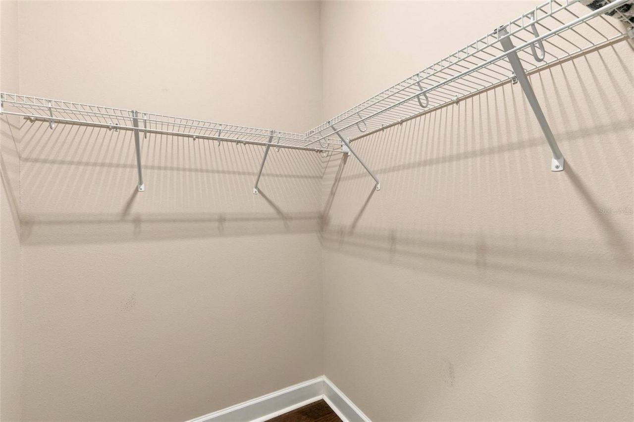 7697 Roma Dune Drive, Wesley Chapel, FL 33545 Photo