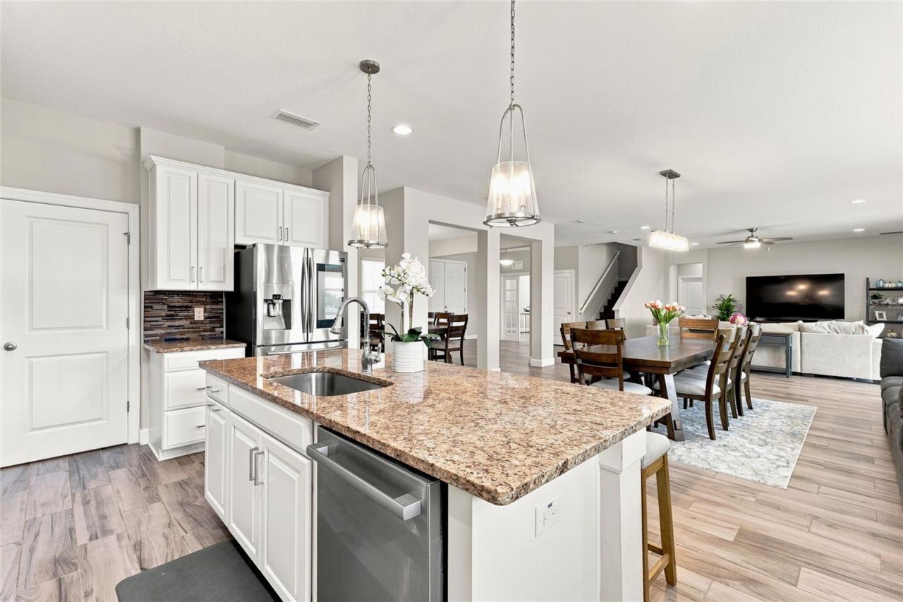 7697 Roma Dune Drive, Wesley Chapel, FL 33545 Photo