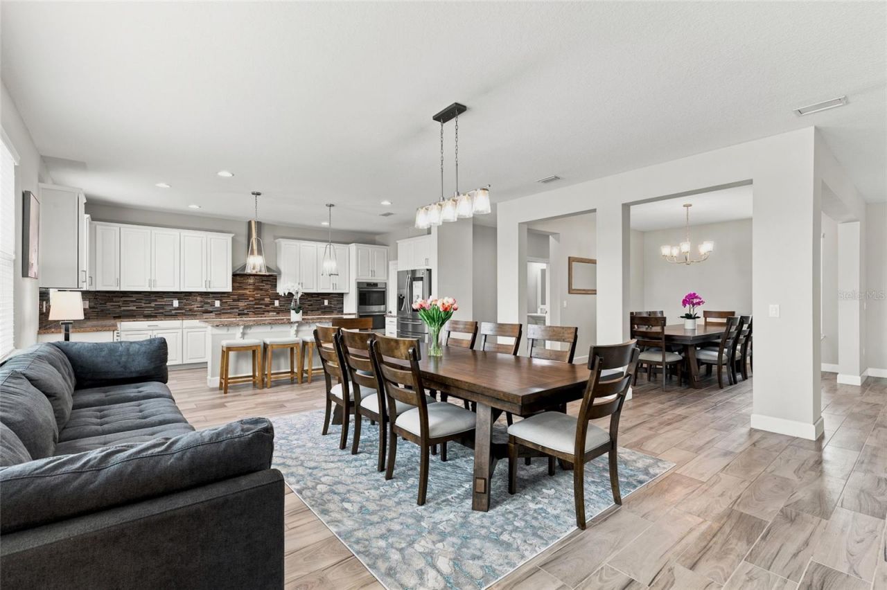7697 Roma Dune Drive, Wesley Chapel, FL 33545 Photo
