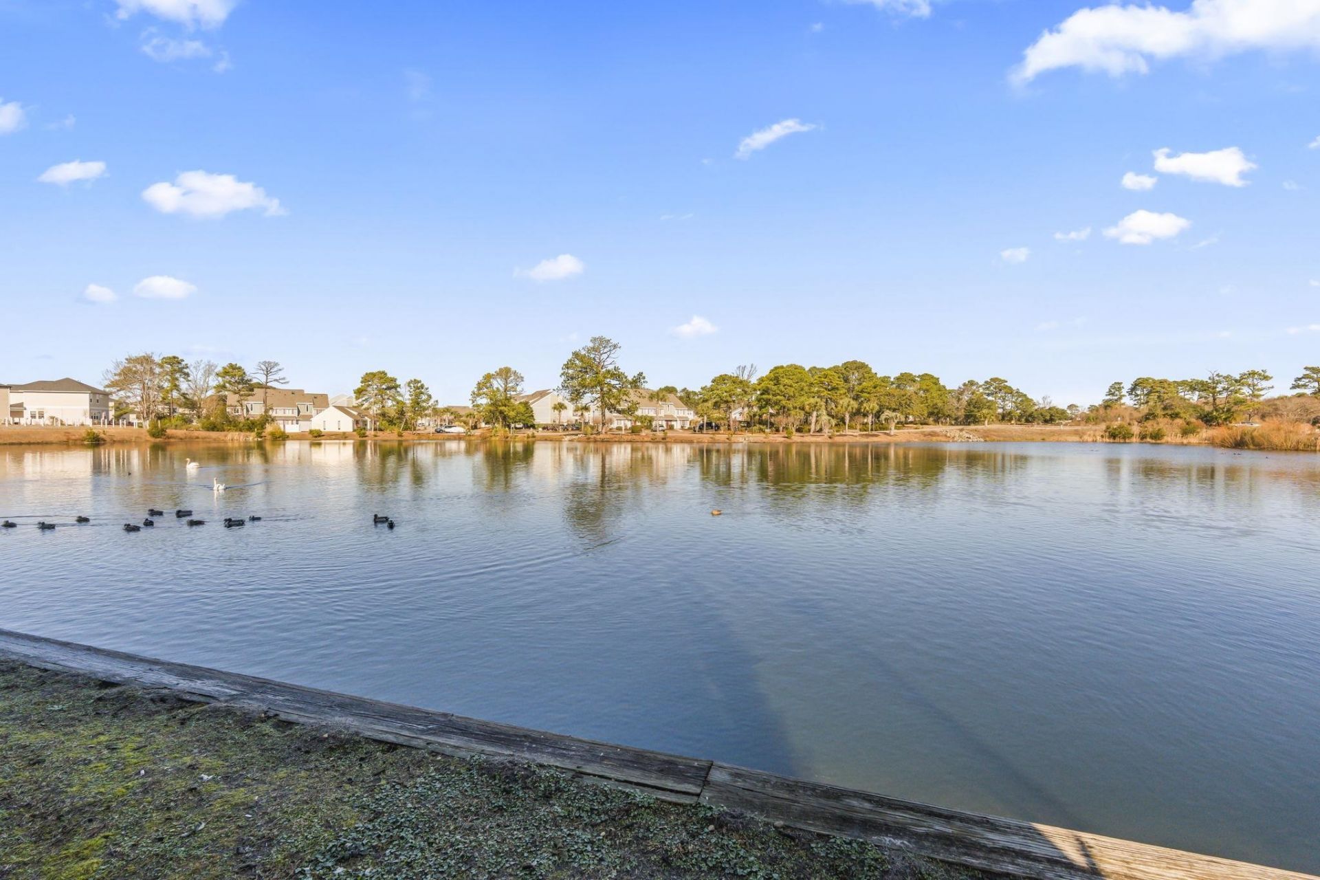 206 Double Eagle Dr.  Photo 32