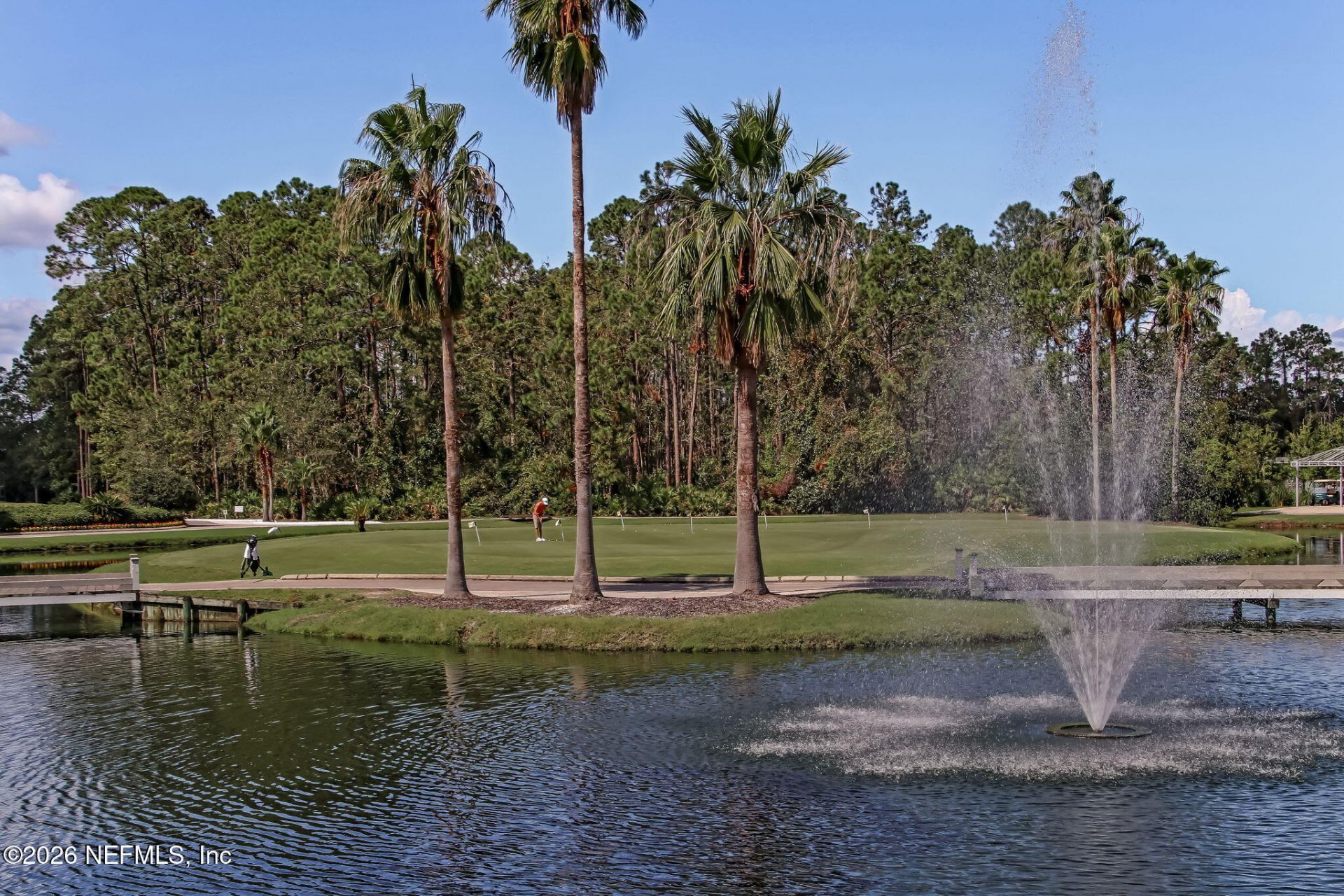 2036 Arden Forest Place, Fleming Island, FL 32003 Photo