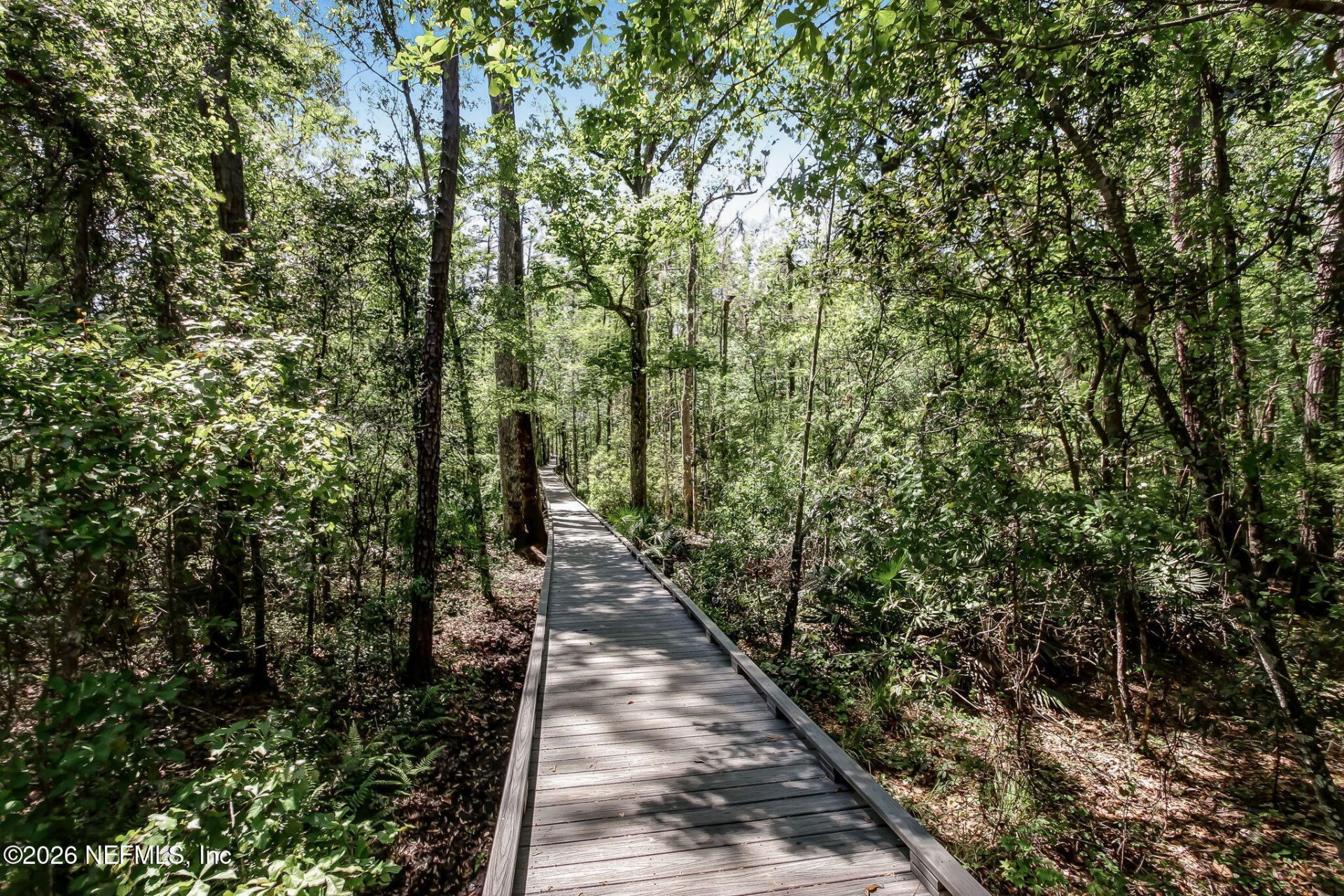 2036 Arden Forest Place, Fleming Island, FL 32003 Photo