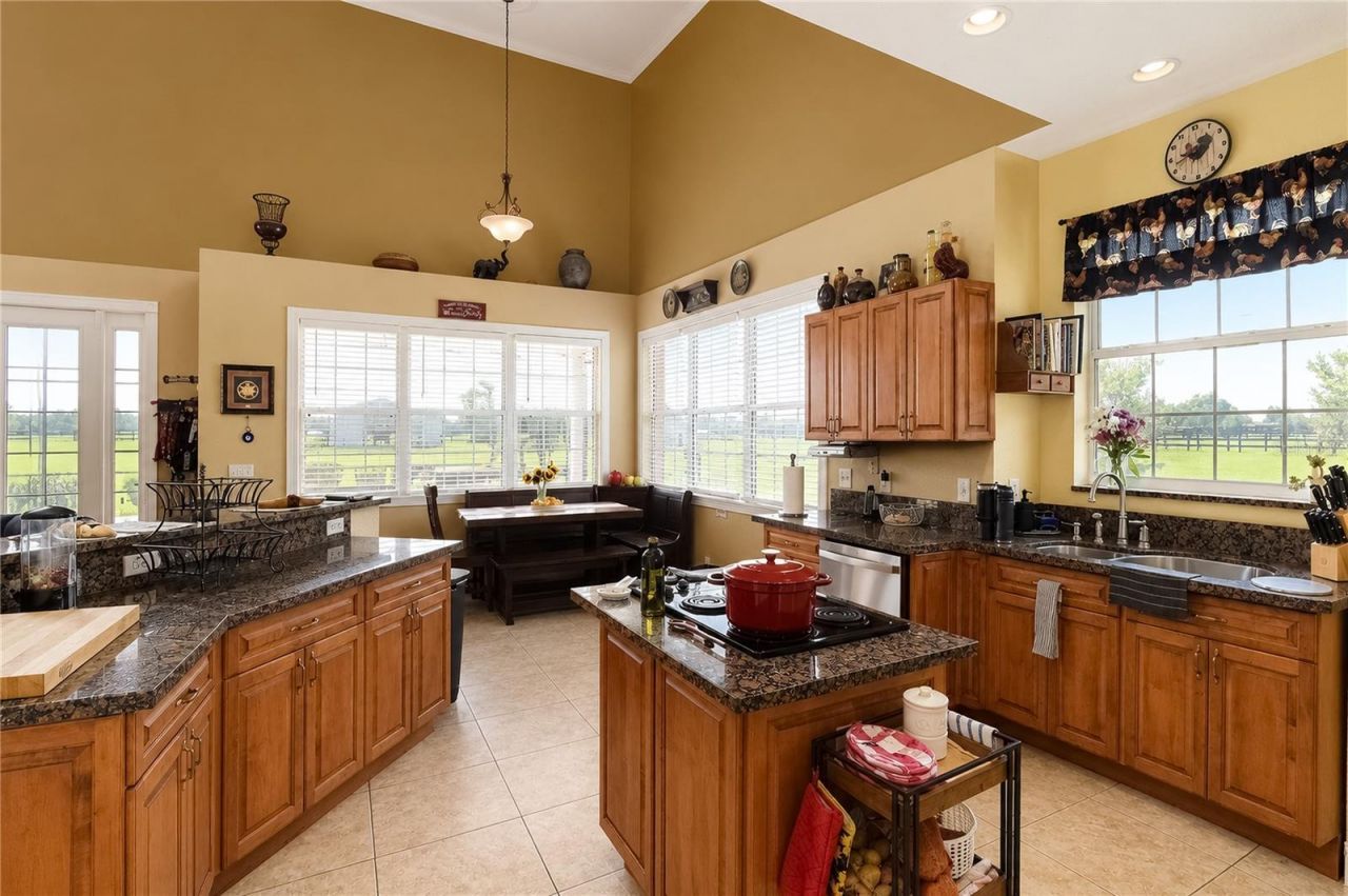 12345 NE 14th Avenue, Anthony, FL 32617 Photo