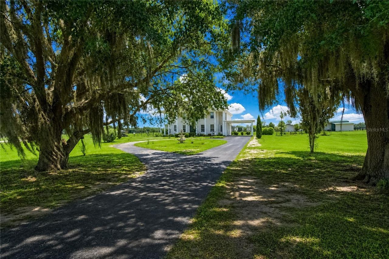 12345 NE 14th Avenue, Anthony, FL 32617 Photo