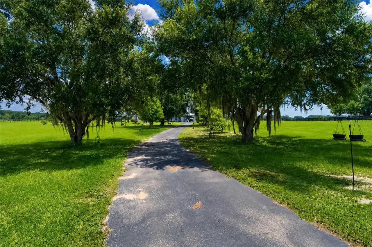 12345 NE 14th Avenue, Anthony, FL 32617 Photo