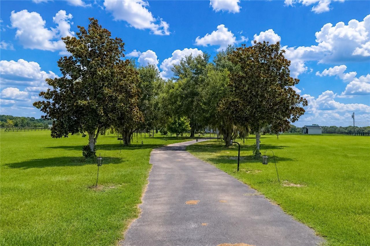 12345 NE 14th Avenue, Anthony, FL 32617 Photo