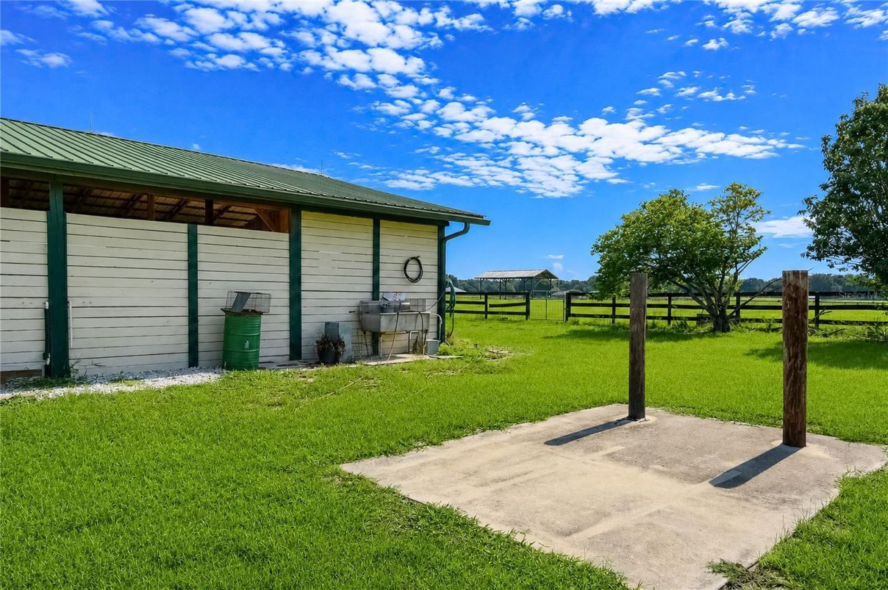 12345 NE 14th Avenue, Anthony, FL 32617 Photo