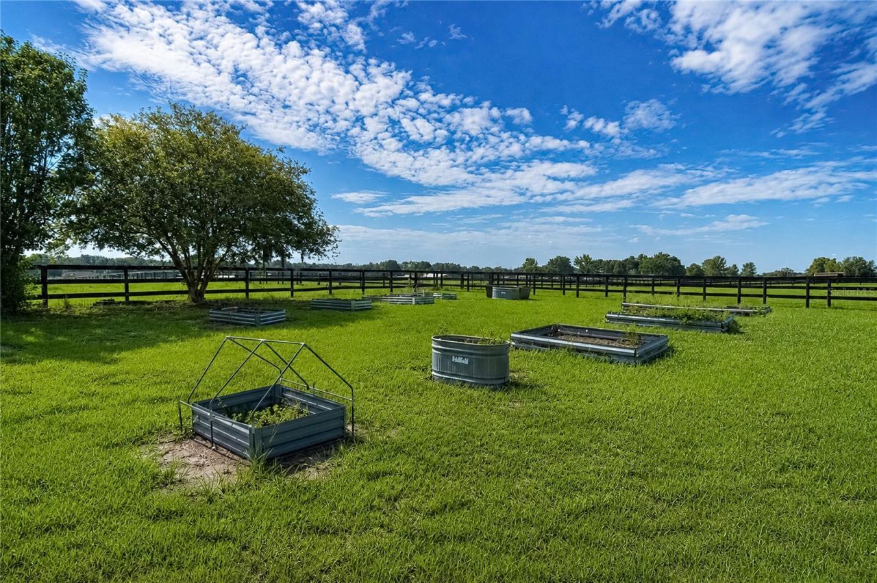12345 NE 14th Avenue, Anthony, FL 32617 Photo