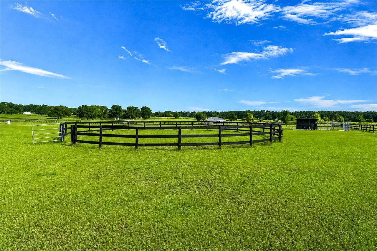 12345 NE 14th Avenue, Anthony, FL 32617 Photo