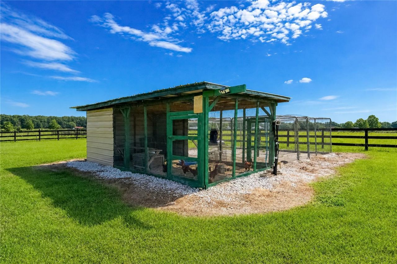 12345 NE 14th Avenue, Anthony, FL 32617 Photo