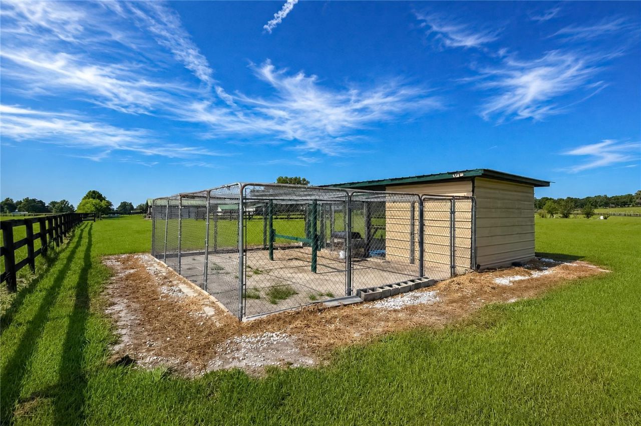 12345 NE 14th Avenue, Anthony, FL 32617 Photo