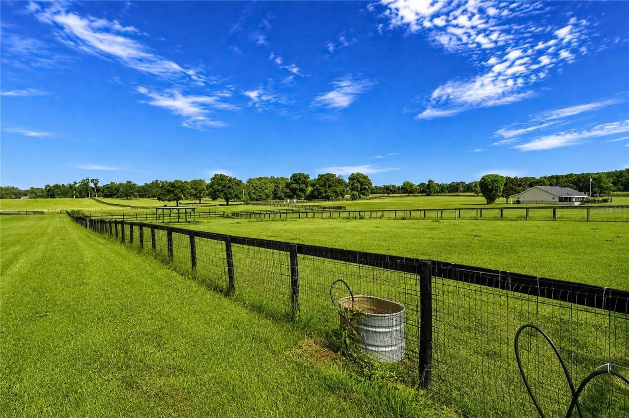 12345 NE 14th Avenue, Anthony, FL 32617 Photo