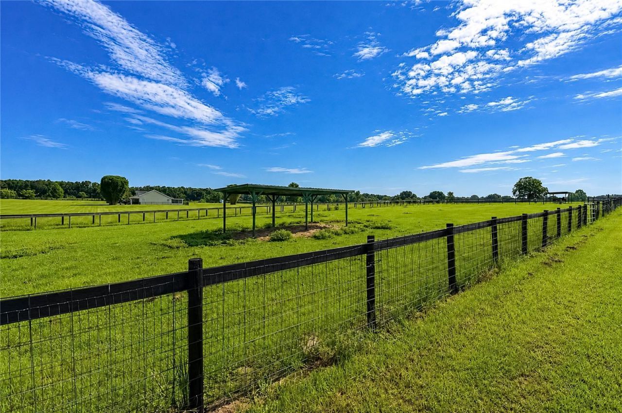 12345 NE 14th Avenue, Anthony, FL 32617 Photo