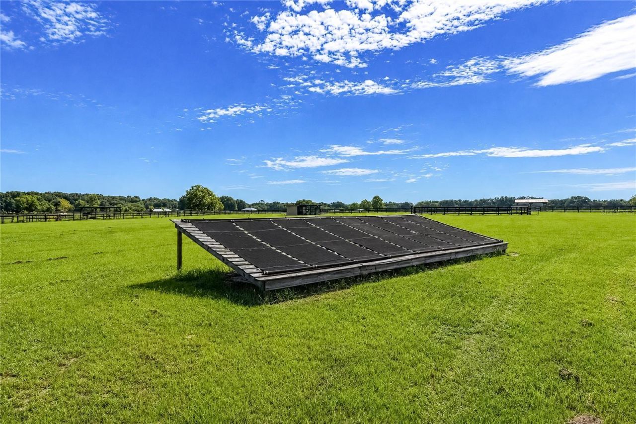 12345 NE 14th Avenue, Anthony, FL 32617 Photo