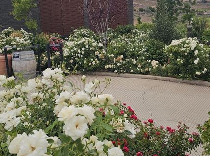 2969 Abruzzi Court, Sparks, NV 89434 Photo
