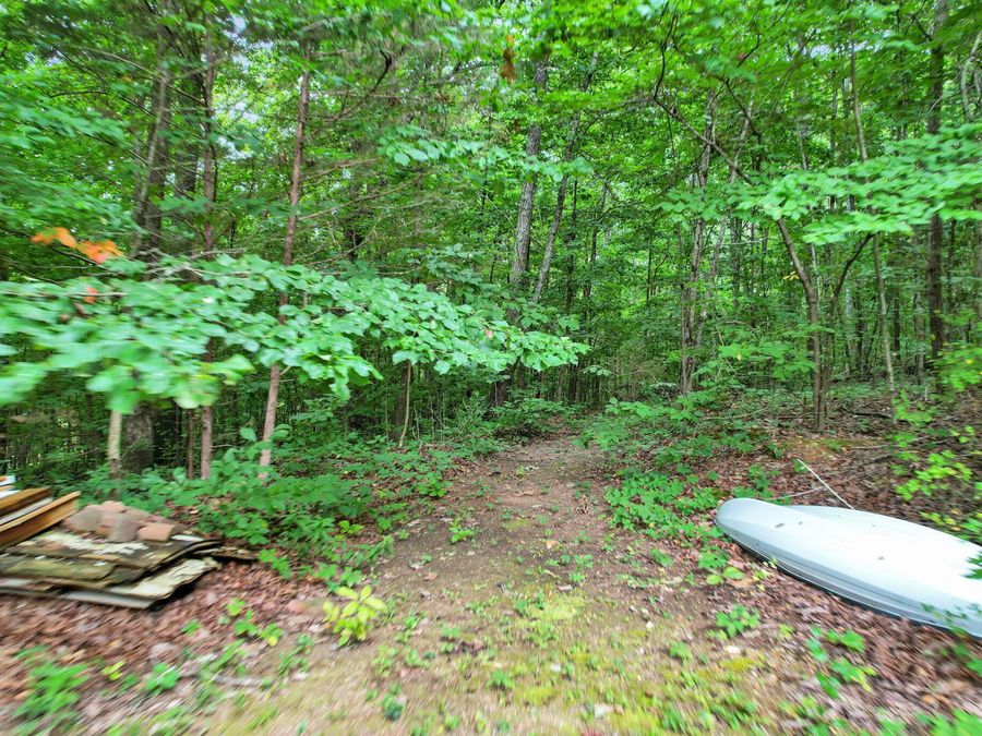 Property Image 40