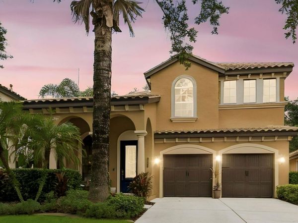 20338 CHESTNUT GROVE DRIVE, TAMPA, FL 33647