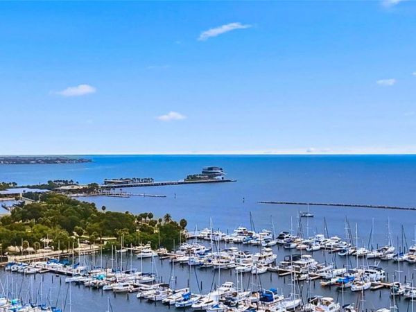 199 DALI BOULEVARD, Unit 1106, ST PETERSBURG, FL 33701