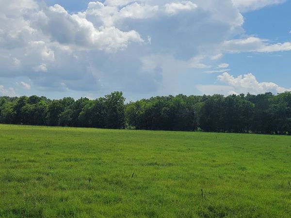 10 Beasley Rd , Unit 10, Chapel Hill, TN 37034