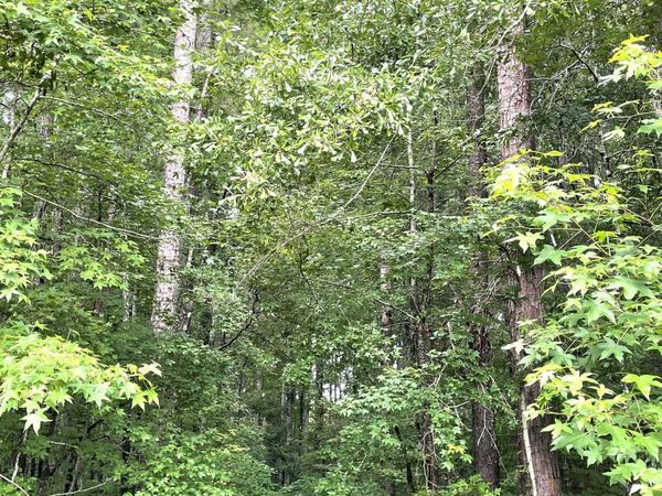 0 Sims Street, Barnesville, GA 30204