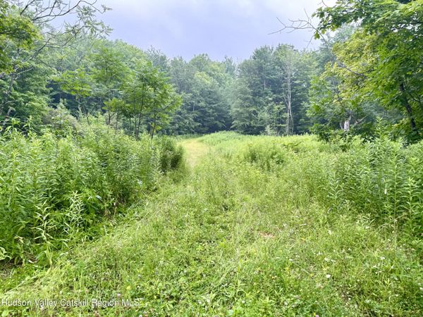 174 High Peak Road, Windham, NY 12496