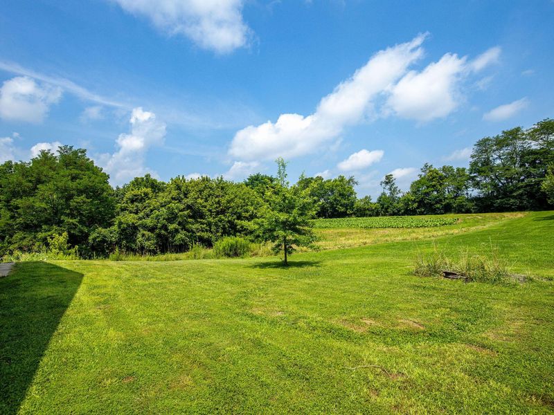 127 Summerfield Drive, Dry Ridge, KY 41035 Photo 38