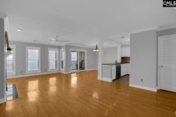1441 Old Chapin Road photo 4