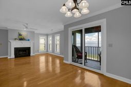 1441 Old Chapin Road photo 4