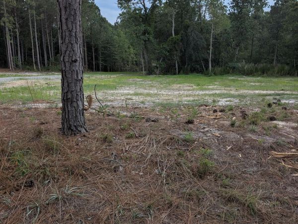 270 Charles Road, Eagle Springs, NC 27242