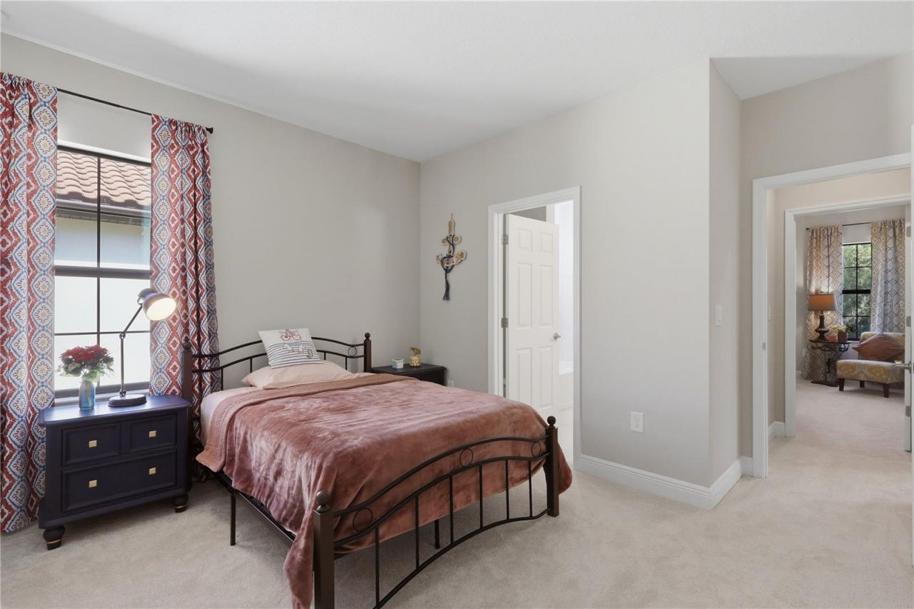 21711 Amelia Rose Way, Land O Lakes, FL 34637 Photo