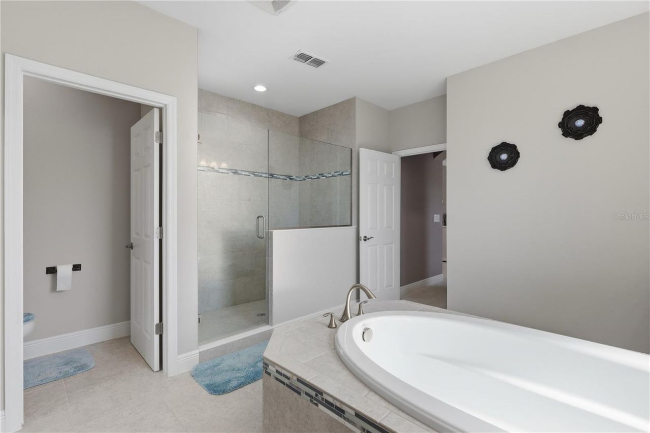 21711 Amelia Rose Way, Land O Lakes, FL 34637 Photo