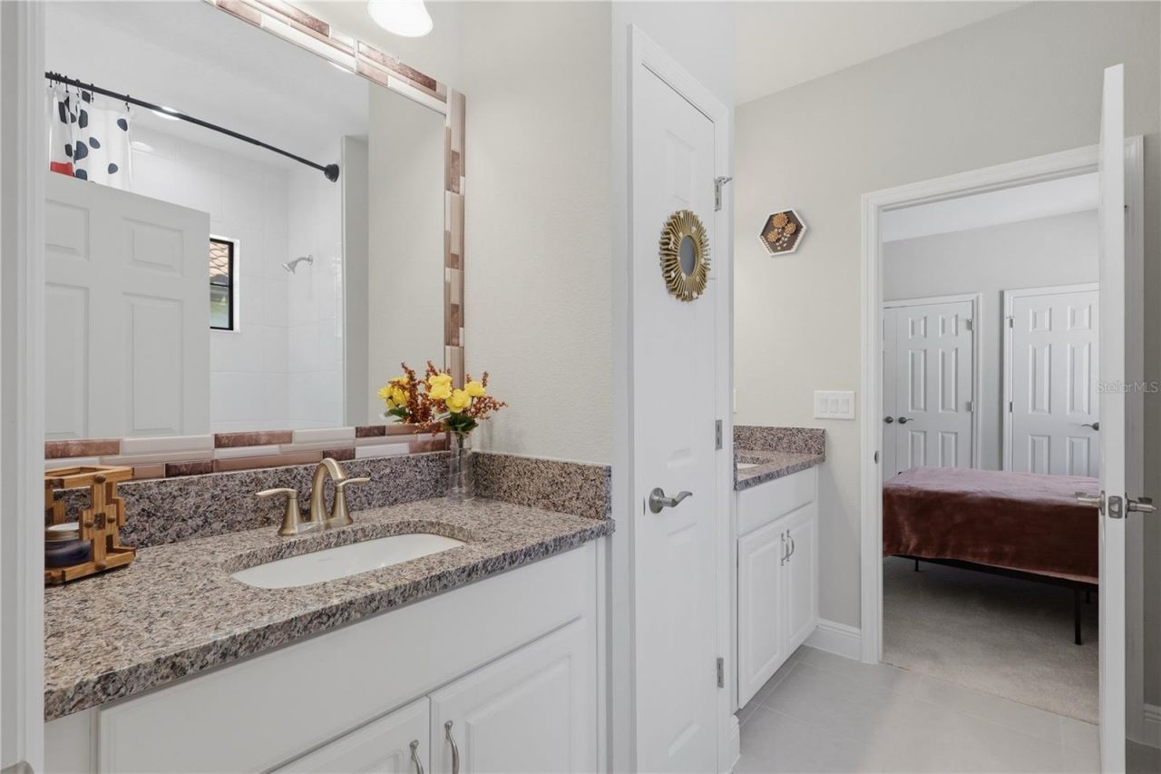 21711 Amelia Rose Way, Land O Lakes, FL 34637 Photo