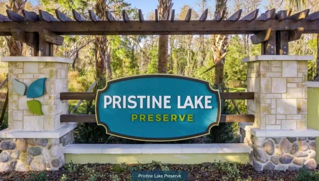 21711 Amelia Rose Way, Land O Lakes, FL 34637 Photo