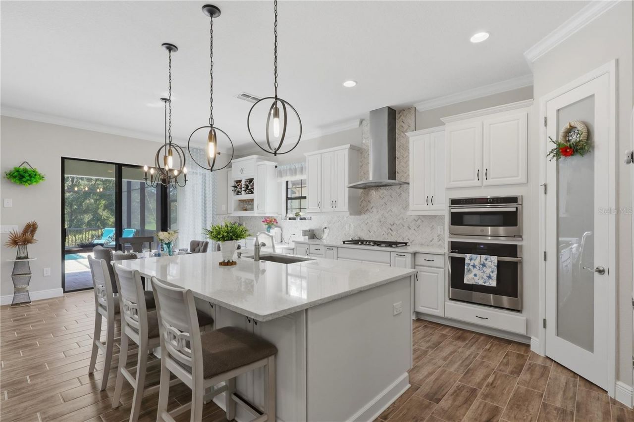 21711 Amelia Rose Way, Land O Lakes, FL 34637 Photo