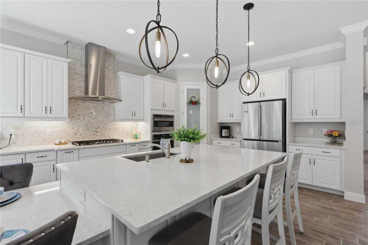 21711 Amelia Rose Way, Land O Lakes, FL 34637 Photo