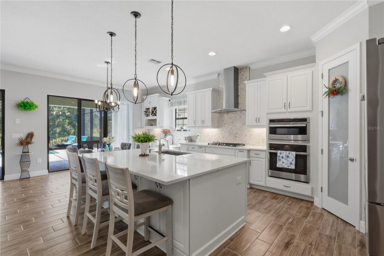 21711 Amelia Rose Way, Land O Lakes, FL 34637 Photo