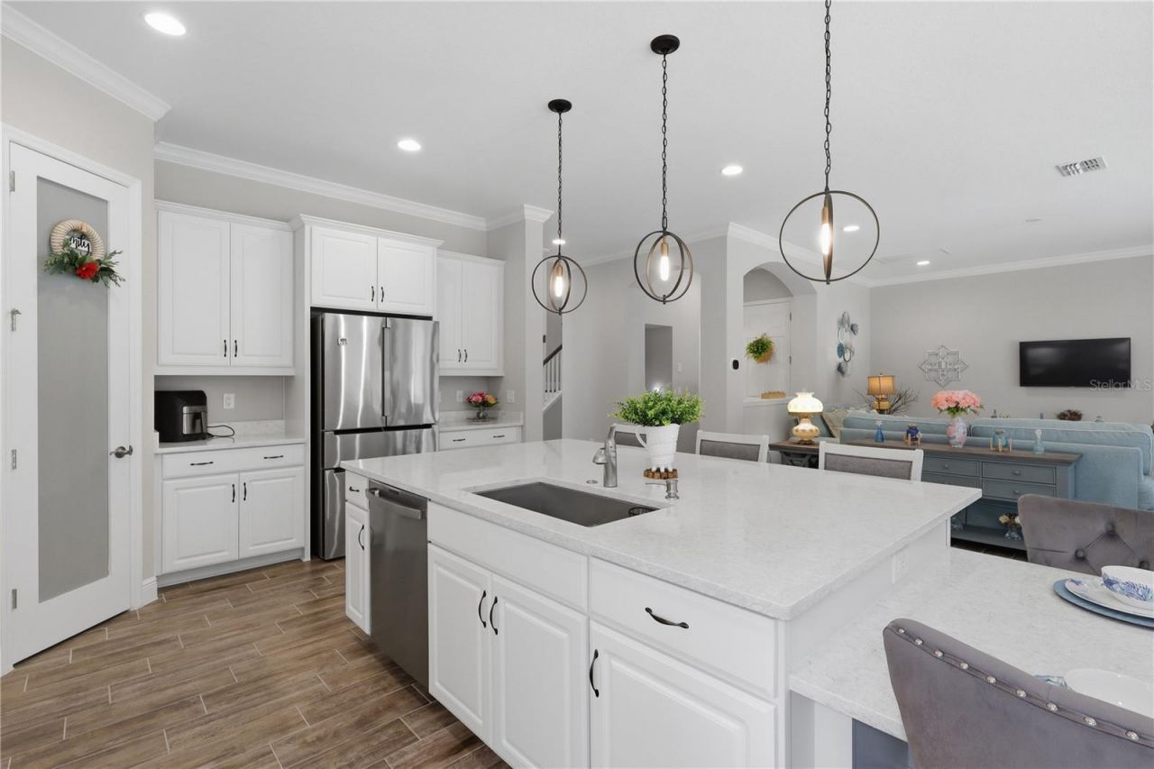 21711 Amelia Rose Way, Land O Lakes, FL 34637 Photo