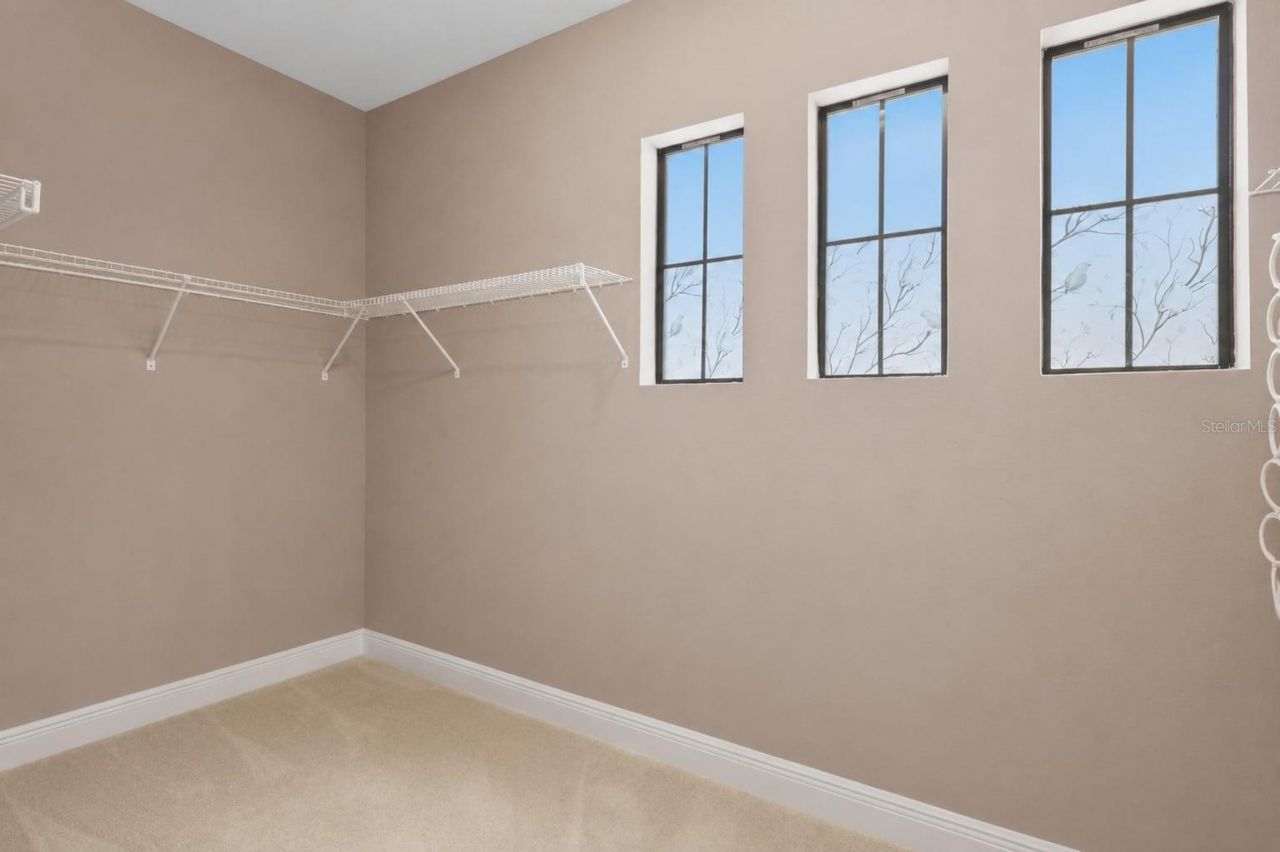21711 Amelia Rose Way, Land O Lakes, FL 34637 Photo