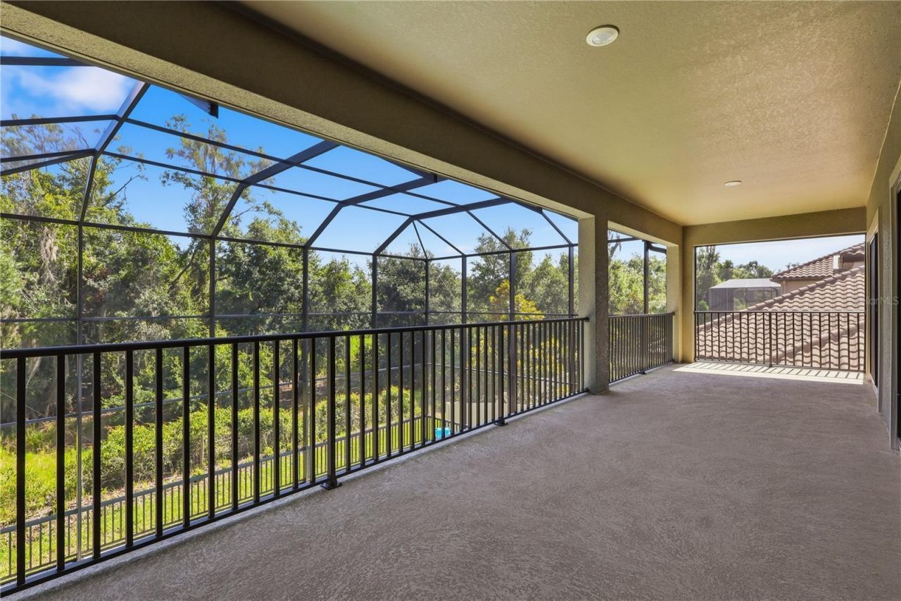21711 Amelia Rose Way, Land O Lakes, FL 34637 Photo