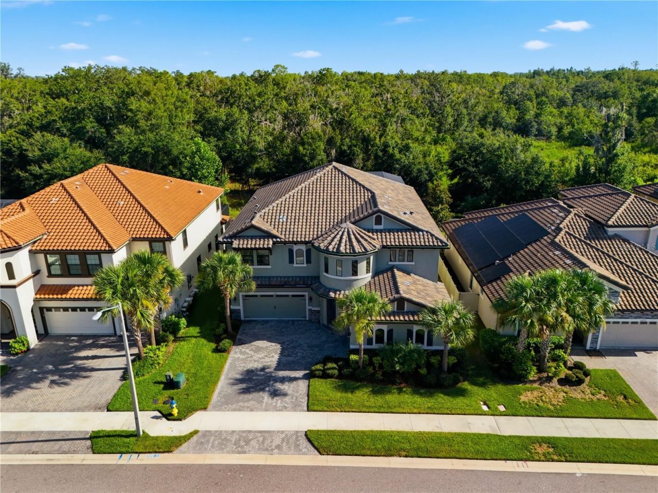 21711 Amelia Rose Way, Land O Lakes, FL 34637 Photo