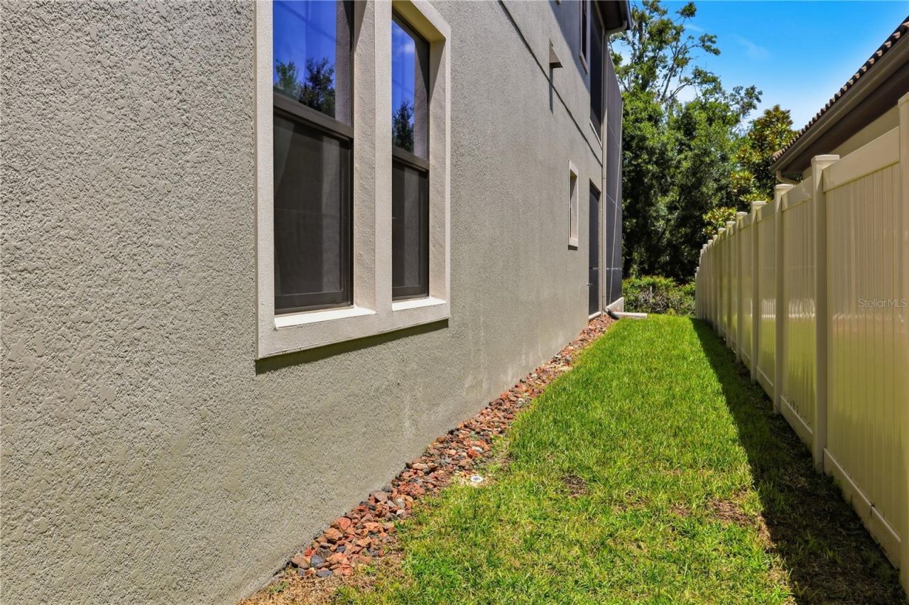 21711 Amelia Rose Way, Land O Lakes, FL 34637 Photo