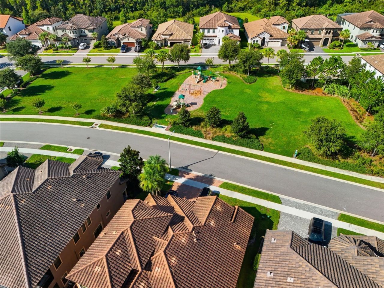 21711 Amelia Rose Way, Land O Lakes, FL 34637 Photo